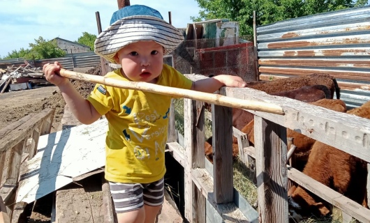 Давайте вместе поможем Жангиру